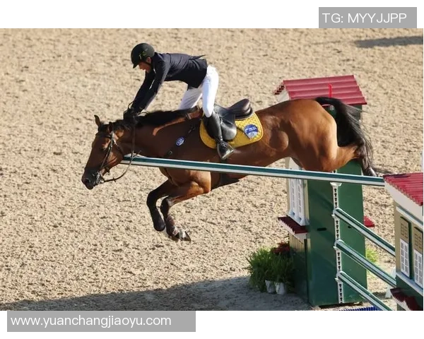 全运会 - 马术比赛后，冠亚第三名敞开“互夸形式”